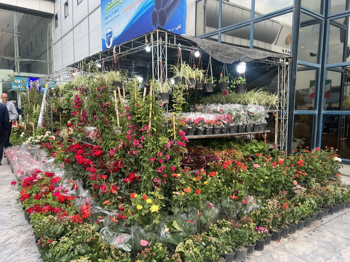 حضور ۲۶۰ شرکت‌کننده در نمایشگاه گل و گیاه مشهد