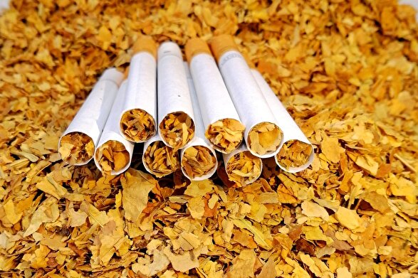 شرکت دخانیات ایران به دلیل فروش توتون فاسد ۱۶۰ میلیارد تومان جریمه شد