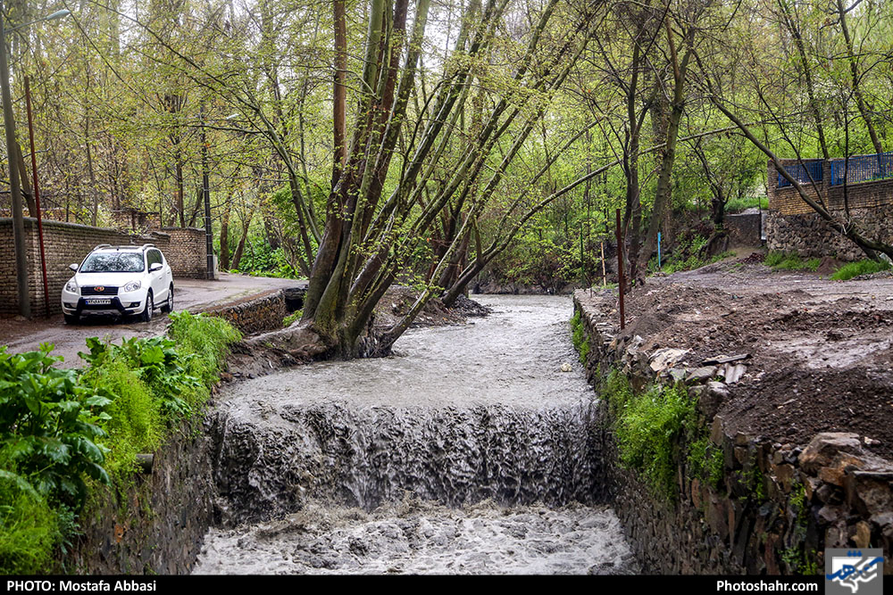 باران بهاری