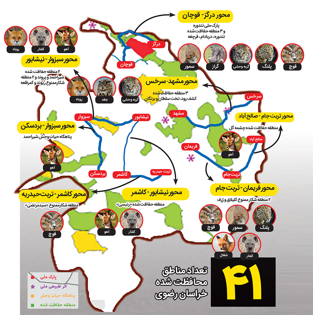 حیات وحش زیر چرخ ارابه‌های مرگ