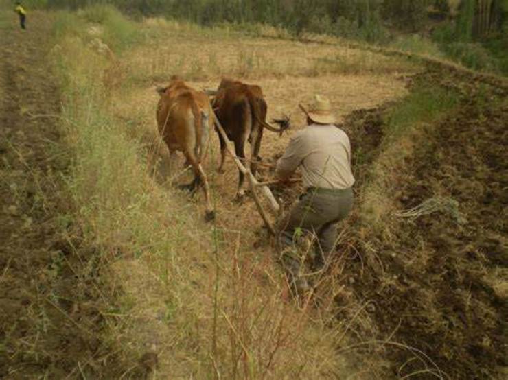 عدم توان کشاورزی سنتی برای تامین کننده امنیت غذایی