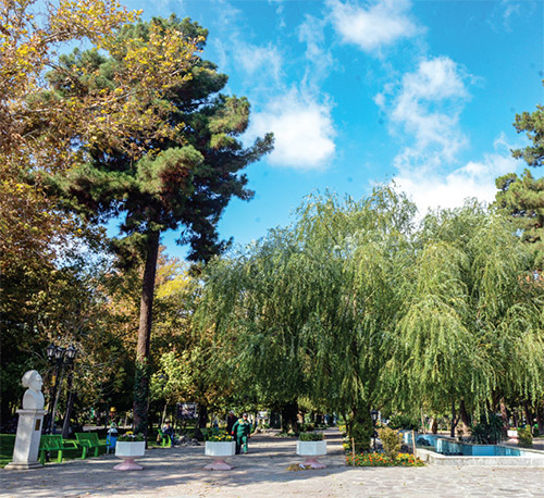 خیابان ۱۰۱ ساله شهر