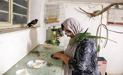 گرم‌خانه حیوانات