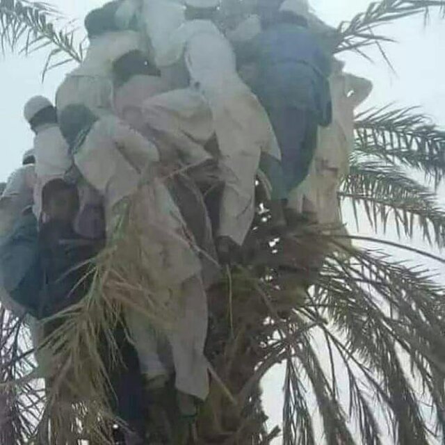 مسئولان دانش و توانی در مقابل بحران سیل ندارند/ دختر ۵ ساله سراوانی زیر آوار+ ویدئو مسئولان دانش و توانی در مقابل بحران سیل ندارند/ دختر ۵ ساله سراوانی زیر آوار+ ویدئو