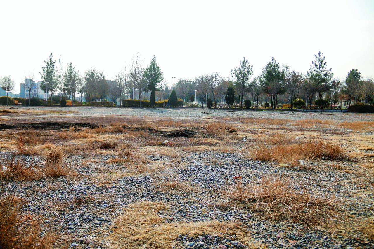 ماجرای زمین‌های رهاشده در محله «شهید آرمون»