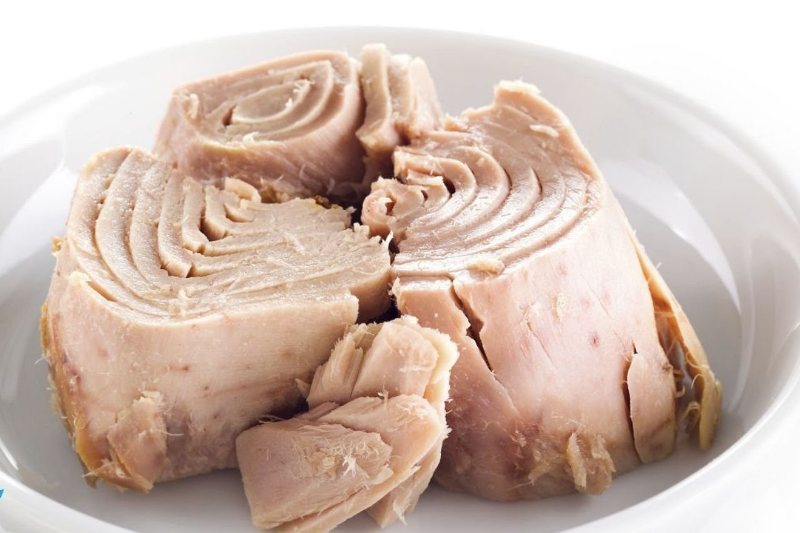 مزایا و معایب تن ماهی