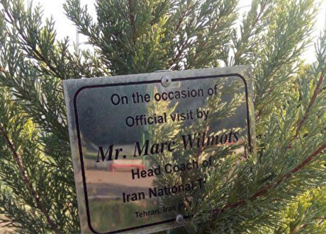 اقدام عجیب فدراسیون و حذف نام ویلموتس از کمپ تیم ملی