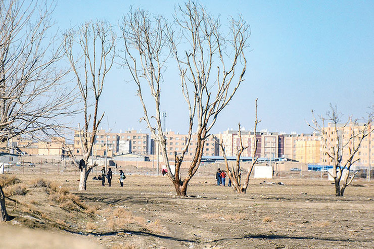 بی مهری به «مهردوست»