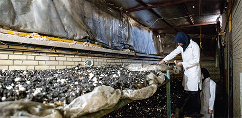 نور امیدی برای دختران حاشیه شهر