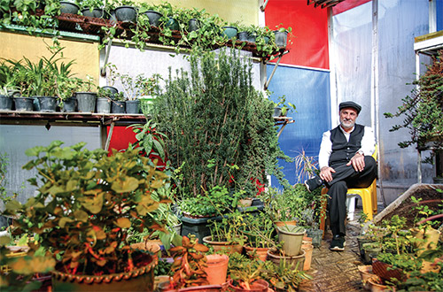 کسب و کار سبز