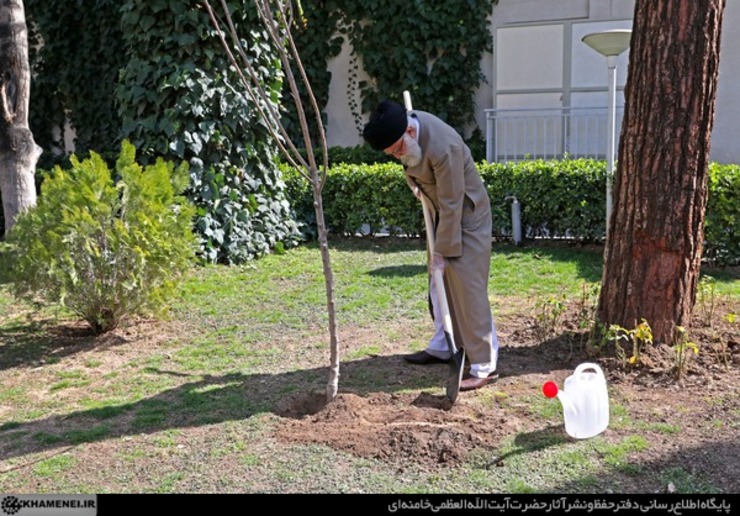 کاشت نهال در هفته منابع طبیعی توسط رهبر معظم انقلاب+ ویدئو