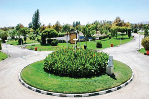 سبز، چون زیتون، زیبا، چون بهشت