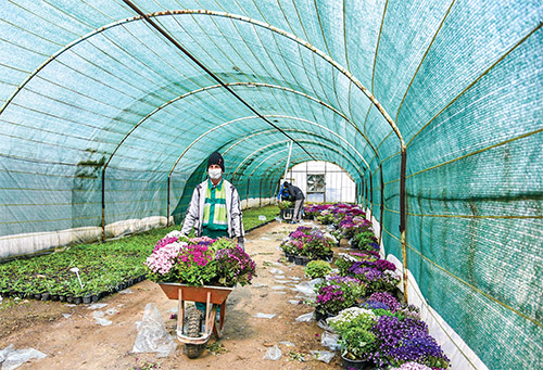 در پشت صحنه بهار!