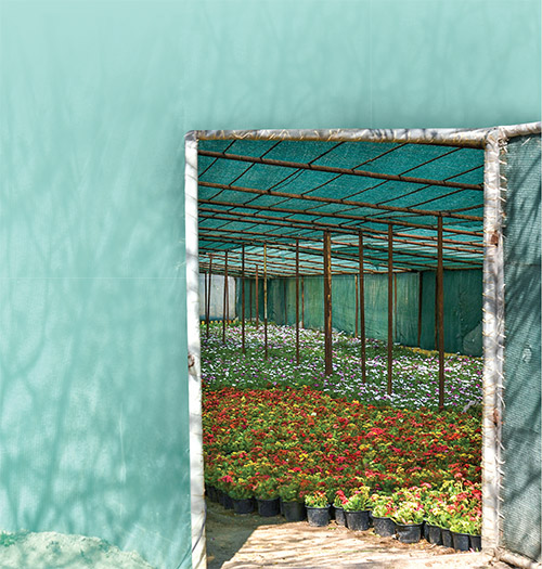 در پشت صحنه بهار!