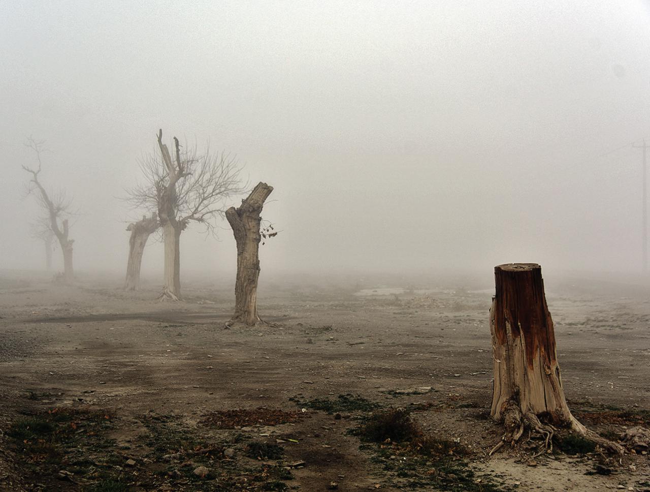 خبر تازهای نیست، ما قطعا میمیریم! خبر تازهای نیست، ما قطعا میمیریم!