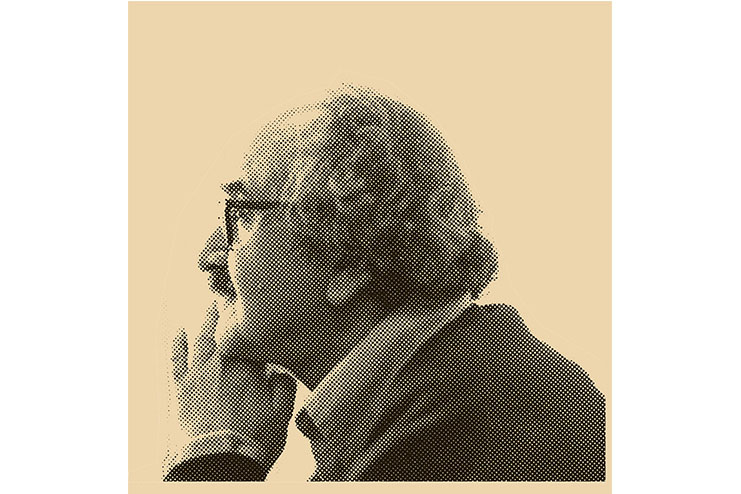 سرو قدافراشته خراسان سرو قدافراشته خراسان