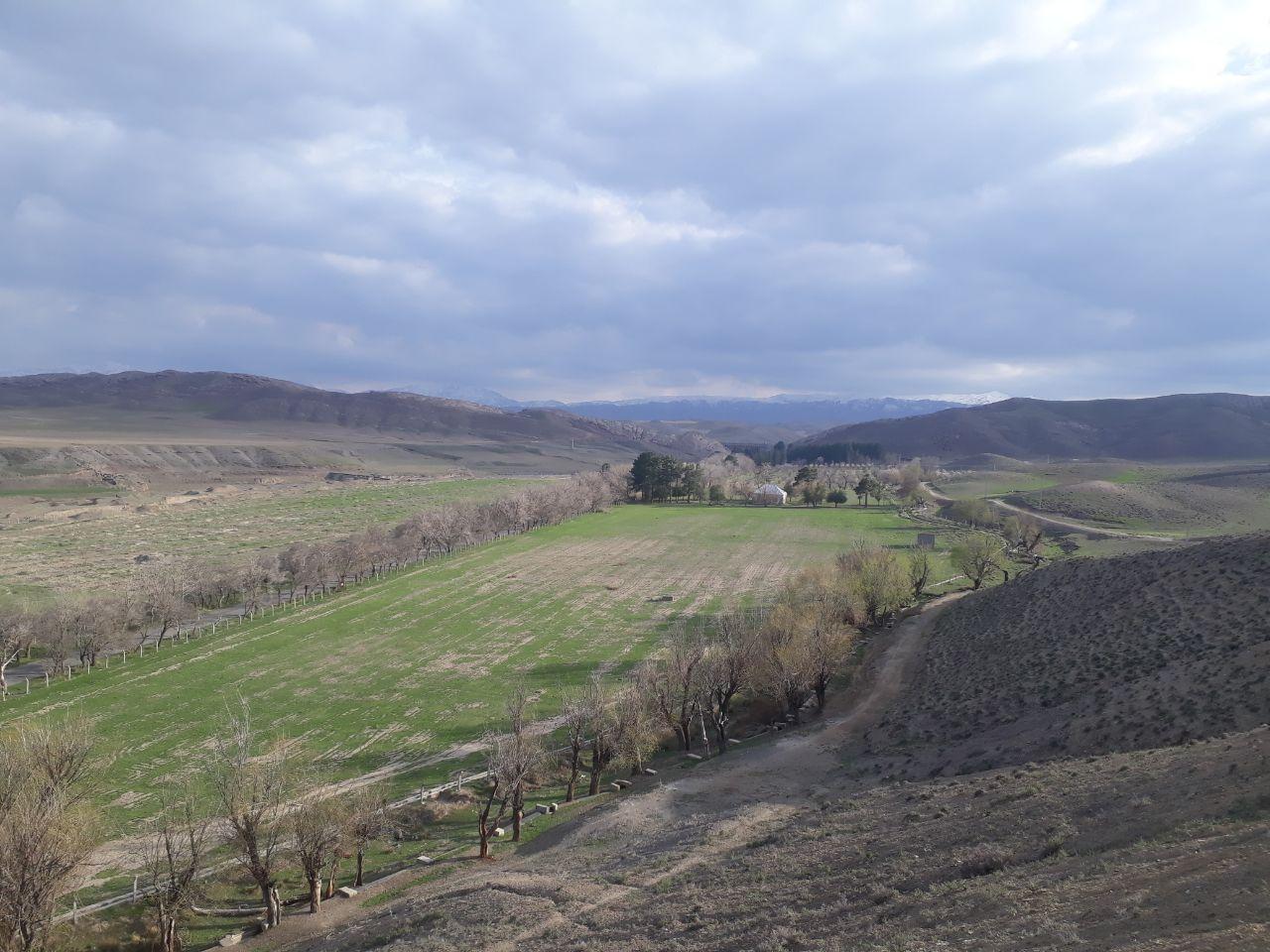 پراکندگی و تنوع سفال نشانه&zwnj;های اولیه تمدنی در سد فریمان است