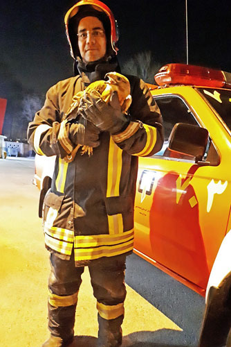 زندهگیری عقاب سرگردان در یک منزل مسکونی در خیابان احمدآباد مشهد زندهگیری عقاب سرگردان در یک منزل مسکونی در خیابان احمدآباد مشهد