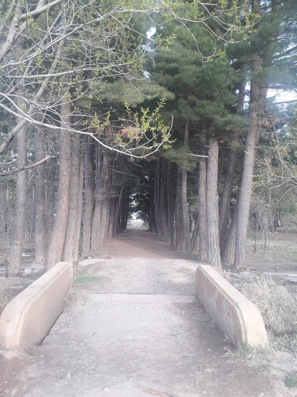 ثبت ملی باغ تاریخی آسیاب قدیمی بند فریمان در حال پیگیری است ثبت ملی باغ تاریخی آسیاب قدیمی بند فریمان در حال پیگیری است