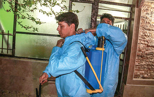 بهار و شکوفایی همدلی&zwnj;ها