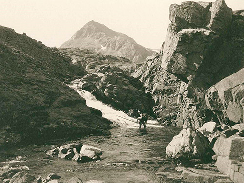 زندگی طاقت‌فرسا میان آب‌های منجمد قطب شمال