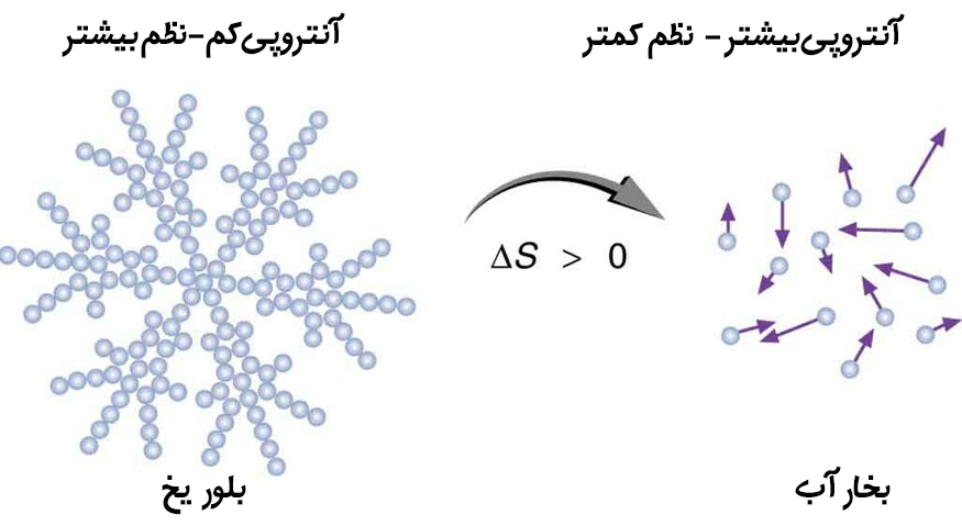 زمان معکوس؛ | رؤیای نولان چقدر واقعیت دارد؟