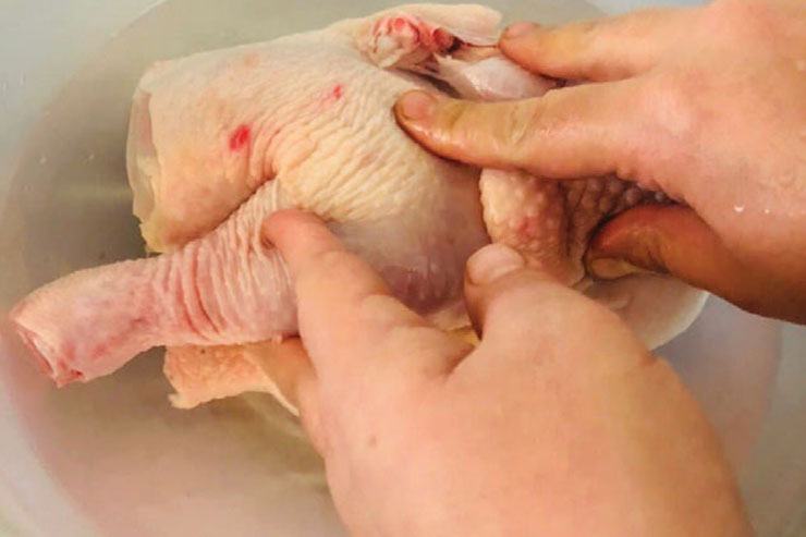 اکبر جوجه اصل مازندرانی