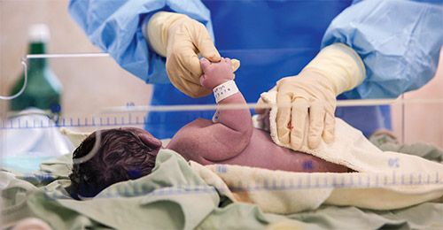 عصر کرونا فصل قحطی جنین