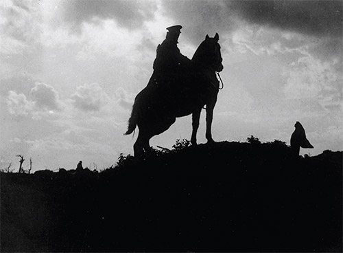 سرگذشت حیوانات در جنگ&zwnj;جهـانی اول