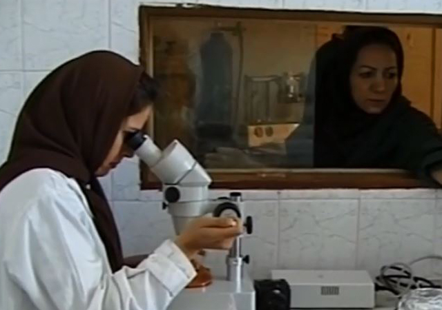 نگاهی به مستند &laquo;داشتن یا نداشتن&raquo; که پس از دو دهه اکران شده است