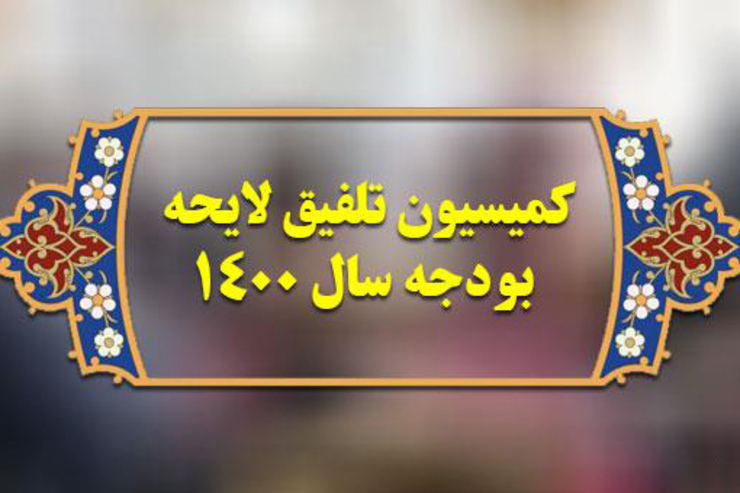 نگرانی معاون پارلمانی رئیس جمهور از مصوبات کمیسیون تلفیق و افزایش فشار بر مردم