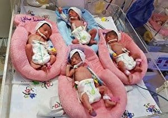 مادر ۲۳ ساله مشهدی در اولین زایمان خود ۳پسر و یک دختر به دنیا آورد مادر ۲۳ ساله مشهدی در اولین زایمان خود ۳پسر و یک دختر به دنیا آورد