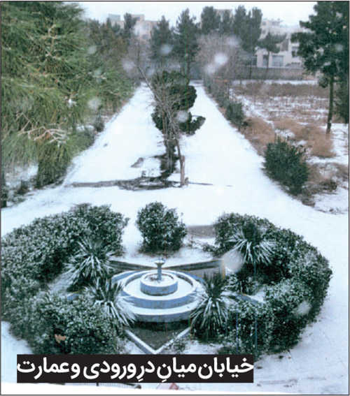رنگ زندگی بر در و دیوار باغ خونی