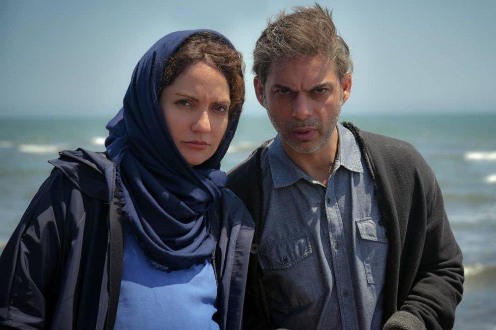 درباره &laquo;ناگهان درخت&raquo; به کارگردانی صفی یزدانیان که اکران آنلاین می&zwnj;شود