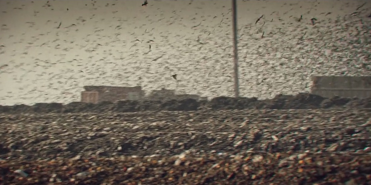 نگاهی به دومین قسمت سریال قورباغه | مسیری فرعی برای رسیدن به شاهراه قصه