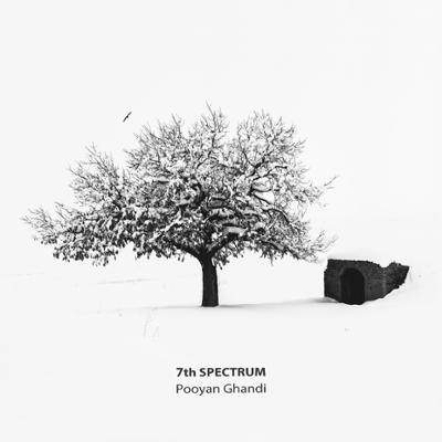 «طیف هفتم»، دومین آلبوم پویان قندی، منتشر شد