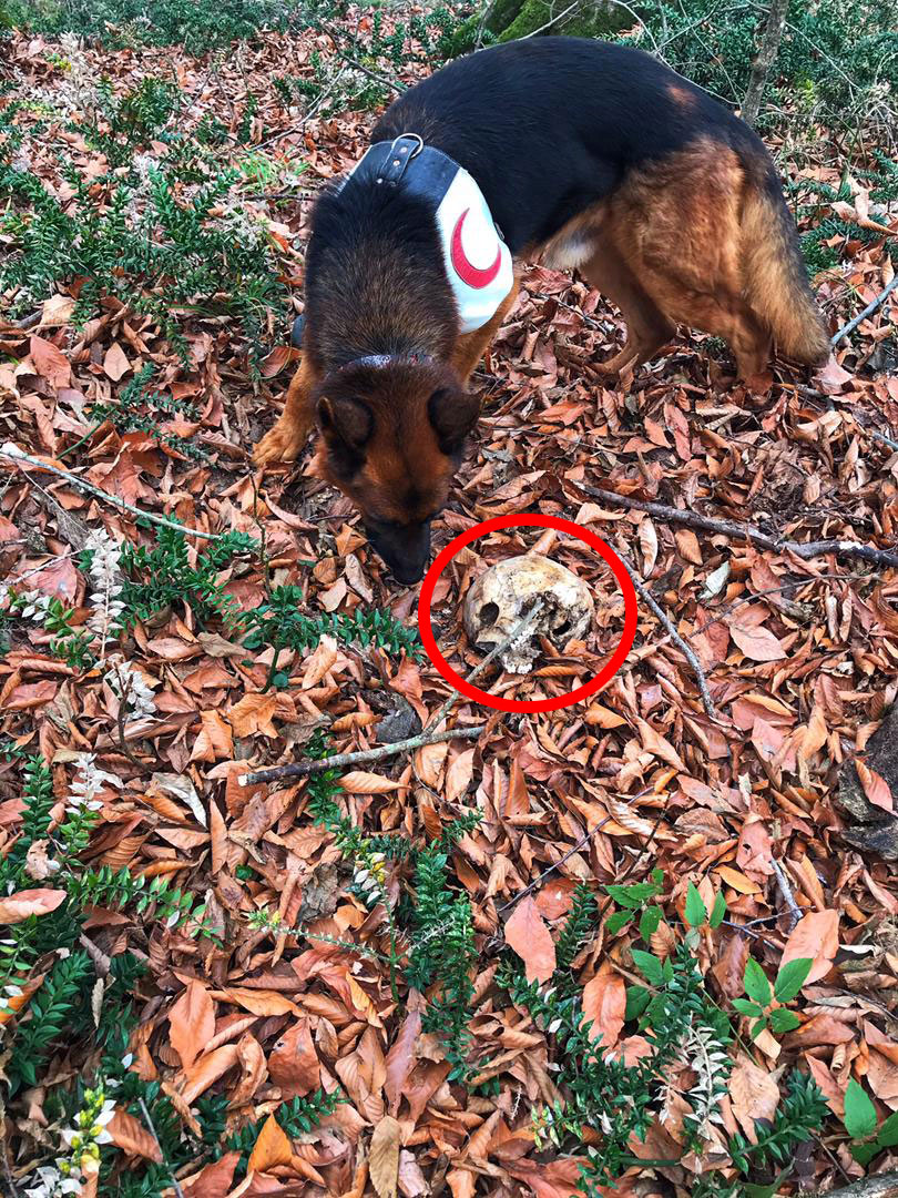 &laquo;معین شریفی&raquo; کوهنورد گمشده در کردکوی به قتل رسیده است + فیلم