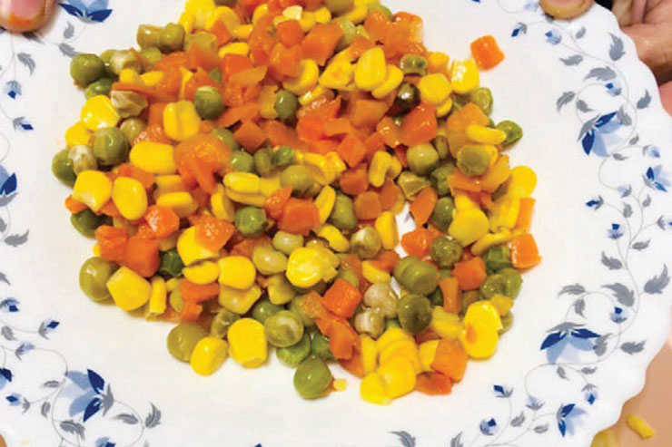 سالاد یونانی مرغ و شوید