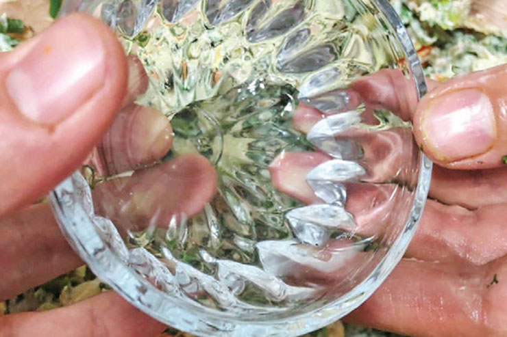 سالاد یونانی مرغ و شوید