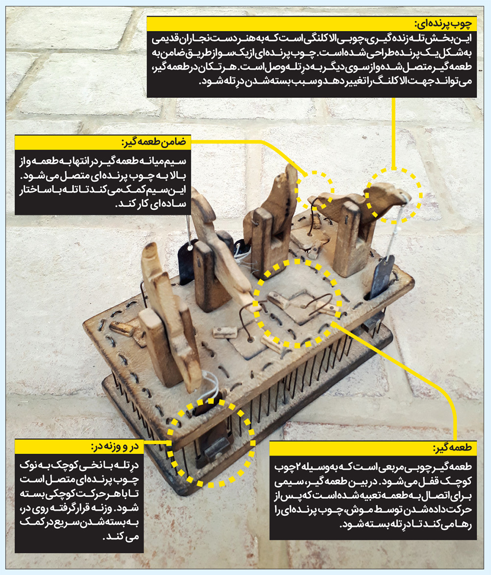 ۳۰ سُنت از دوستی با حیوانات
