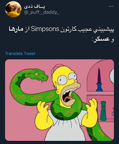 واکنشها به ویدئوی «به راستی مار ها از جان عسگر چه می خواهند؟» + تصاویر واکنشها به ویدئوی «به راستی مار ها از جان عسگر چه می خواهند؟» + تصاویر