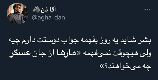 واکنشها به ویدئوی «به راستی مار ها از جان عسگر چه می خواهند؟» + تصاویر واکنشها به ویدئوی «به راستی مار ها از جان عسگر چه می خواهند؟» + تصاویر