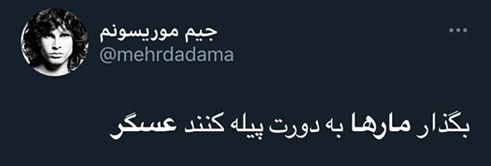 واکنشها به ویدئوی «به راستی مار ها از جان عسگر چه می خواهند؟» + تصاویر واکنشها به ویدئوی «به راستی مار ها از جان عسگر چه می خواهند؟» + تصاویر