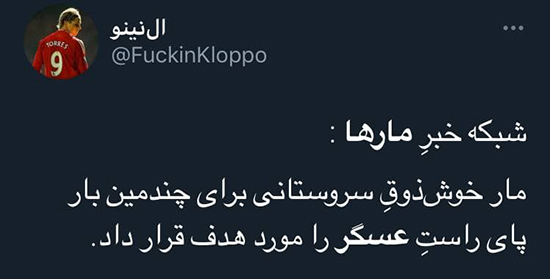 واکنشها به ویدئوی «به راستی مار ها از جان عسگر چه می خواهند؟» + تصاویر واکنشها به ویدئوی «به راستی مار ها از جان عسگر چه می خواهند؟» + تصاویر