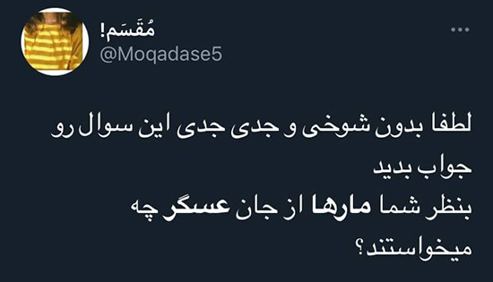 واکنشها به ویدئوی «به راستی مار ها از جان عسگر چه می خواهند؟» + تصاویر واکنشها به ویدئوی «به راستی مار ها از جان عسگر چه می خواهند؟» + تصاویر