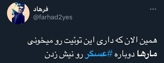 واکنشها به ویدئوی «به راستی مار ها از جان عسگر چه می خواهند؟» + تصاویر واکنشها به ویدئوی «به راستی مار ها از جان عسگر چه می خواهند؟» + تصاویر