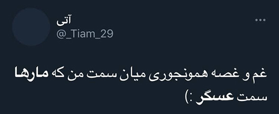 واکنشها به ویدئوی «به راستی مار ها از جان عسگر چه می خواهند؟» + تصاویر واکنشها به ویدئوی «به راستی مار ها از جان عسگر چه می خواهند؟» + تصاویر