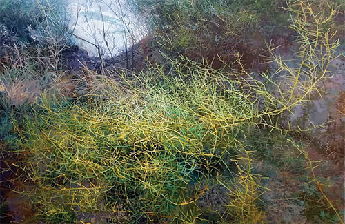 حلقه پیوند هنرمند و سرمایه‌دار، گم است