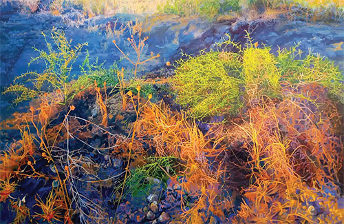 حلقه پیوند هنرمند و سرمایه‌دار، گم است