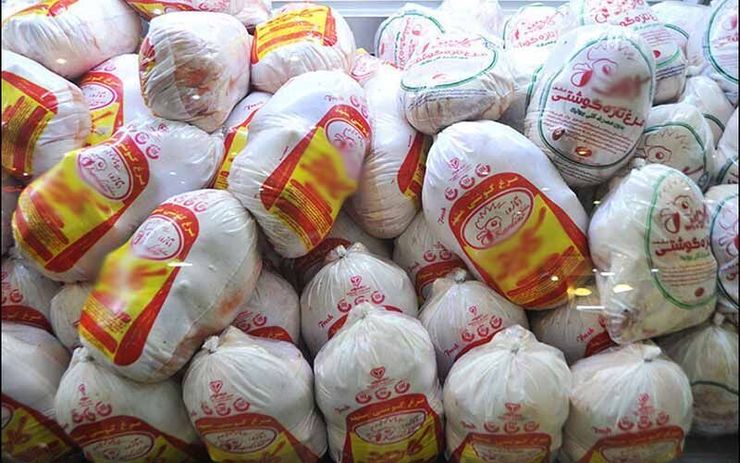 آغاز توزیع گوشت منجمد مرغ در خراسان رضوی